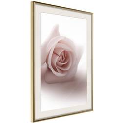 Arkiio Affisch Rose Shadow [Poster] 20x30 Poster